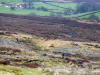 Dale Head Singletrack. 23rd April 2010