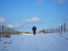 Approaching Roseberry Common from Airyholme Farm Feb 2010