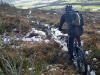 Easby Moor Feb 2010