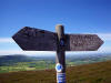 Gratuitous signpost shot. 22nd June 2010