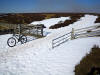 White Gates March 2010