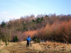 Guisborough Woods  March 2010