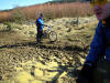 Guisborough Woods  March 2010