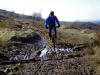 Approaching Guisborough Woods  March 2010