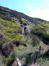 Approaching East Bank Plantation, 21st April 2009