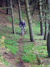 Some other woods, 29th April 2009