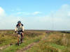 Bilsdale West Moor, approaching Low Thwaites