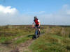 Bilsdale West Moor, approaching Low Thwaites