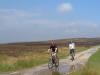 Hawnby Moor, finishing the two mile descent from Low Thwaites