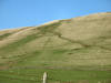 Wild horses, The Howgill Fells, 16th October 2008