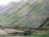 Wild horses, Bowderdale, Howgill Fells, 17th OCtober 2008