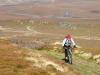 Barker's Ridge,Carlton Bank and Stoney Wicks in background, 22nd October 2008