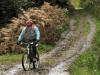 Clain Woods, 22nd October 2008