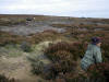 Shooting party. Whorlton Moor. 12th October 2009