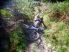 No Comment. Hamsterley Forest 23rd September 2009