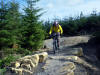 Section 13. Hamsterley Forest 23rd September 2009