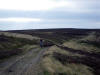 Ingleby Moor 25th September 2009