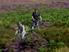 Two old blokes blundering about in the heather 01/09/10