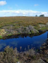 Small puddle on the bridleway 30/09/10