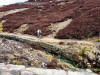 Flincher Gill, Swaledale, 3rd April 2008