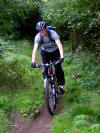 Guisborough Woods 23rd August 2010