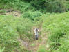 Fangdale Beck brideway 16th August