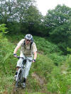 Fangdale Beck brideway 16th August