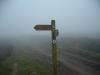 Percy Cross Rigg 21st August