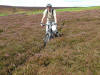 The elusive Fangdale Beck bridleway 16th August