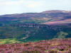 Scugdale from Whorlton Moor 7th August 2008
