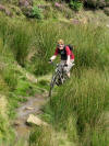 Rosedale railway track 15th August 2008