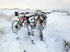 "Has it been snowing then?" Stoney Wickes 22nd December 2009