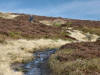 Cold Moor descent 5th December 2007