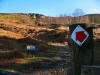 Ingleby Bank, 12th February 2008