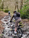 Path may be slightly damp... Lake District, 28th February 2008