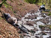 Simon tries the shallow end, Lake District, 28th February 2008