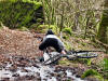 Oz decides to try breast stroke, Lake District, 28th February 2008