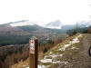 Altura Trail, Whinlatter Forest, North Loop, 4th February 2009