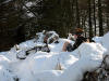 Playing in the snow. Silton Woods 9th February 2009