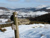 Scarth Wood Moor. 9th February 2009