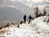 Altura Trail, Whinlatter Forest, South Loop, 4th February 2009