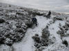 Snowy fun, Urra Moor, 5th January 2009