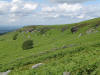 9th July 2007. Scugdale