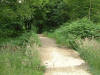 11th July 2007. Silton Woods Downhill course