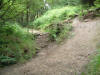 11th July 2007. Silton Woods Downhill course