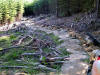 31st July 2007 Dalby Forest Red Route