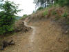 2nd July 2007 Dalby Forest Red Route