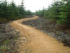 2nd July 2007 Dalby Forest Red Route