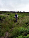 Simon after his tumble into the thistles. Scugdale. 14th July 2008