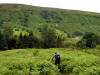 Me again. Scugdale. 14th July 2008